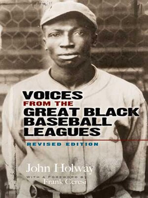 cover image of Voices from the Great Black Baseball Leagues